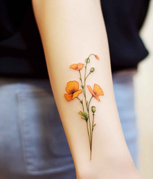 california_poppy_19