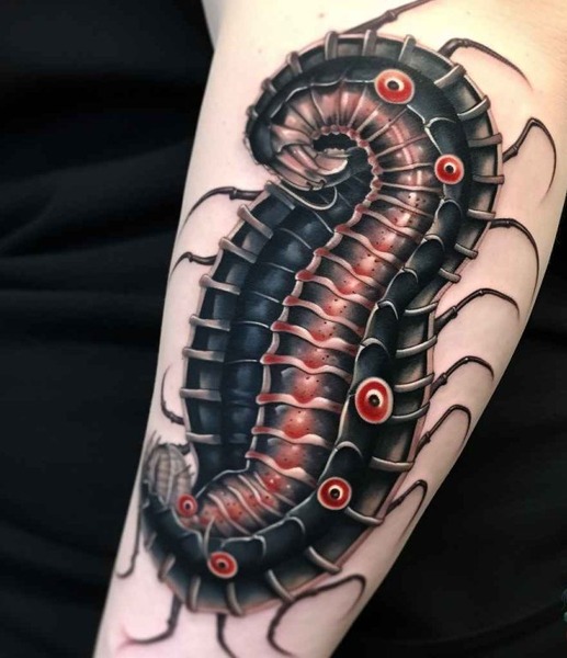 japanese centipede tattoo 11