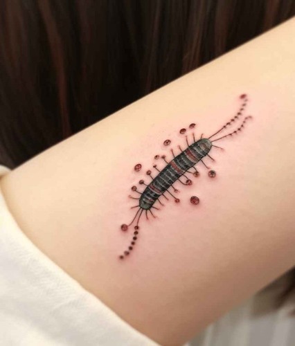 japanese centipede tattoo 4