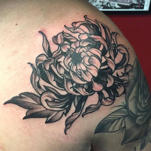 Chrysanthemum tattoo 8