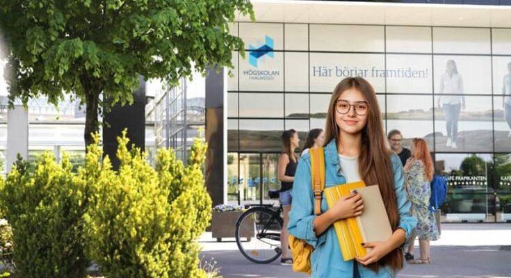 Halmstad University Scholarships for International Students in Sweden