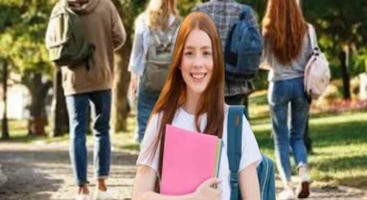 University of Parma PhD Scholarships