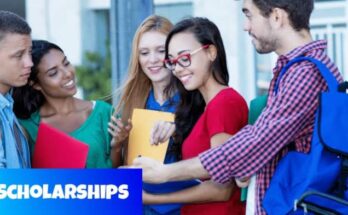 Royal Society Wolfson Fellowship for International Students | Study in UK